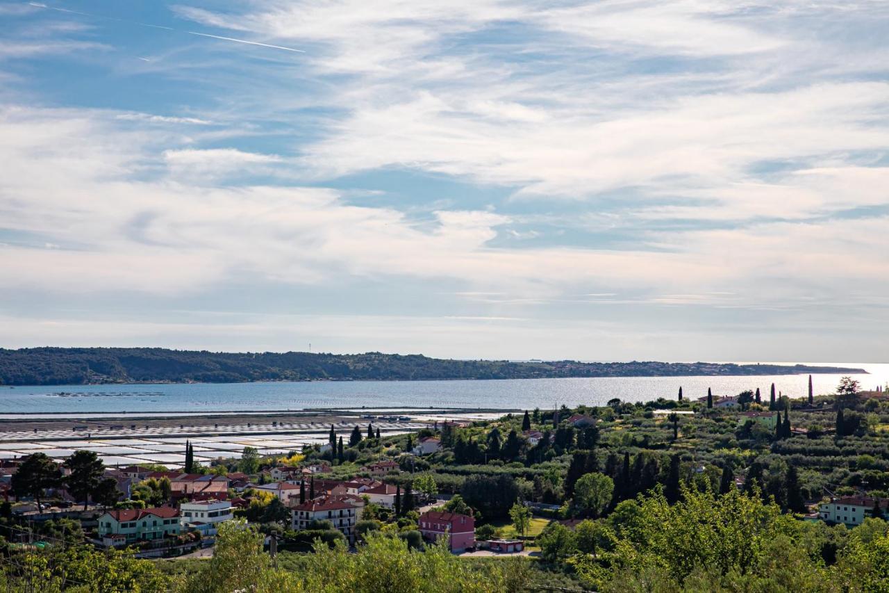 Larabella Salt Fields View Studio Порторож Экстерьер фото